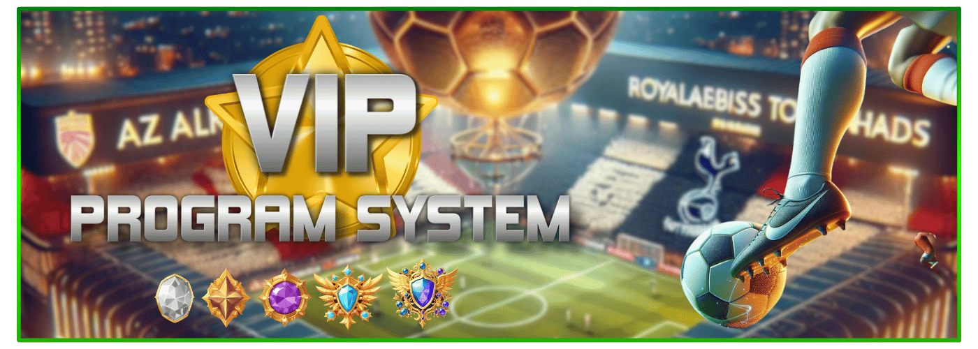 VIP Program Model Image